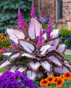 Хоста Кримэн Дрим купить по цене от 549р. в интернет-магазине «Посадика» с доставкой почтой в в Мантуровое и по всей России – [изображение №1].