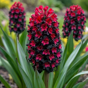 Гиацинт Джем Стоун купить по цене от 2099р. в интернет-магазине «Посадика» с доставкой почтой в в Мантуровое и по всей России – [изображение №1].