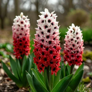 Гиацинт Скай Гарден купить по цене от 2099р. в интернет-магазине «Посадика» с доставкой почтой в в Мантуровое и по всей России – [изображение №1].