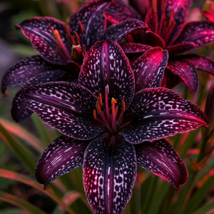 Лилейник Вояж купить по цене от 699р. в интернет-магазине «Посадика» с доставкой почтой в в Мантуровое и по всей России – [изображение №1].